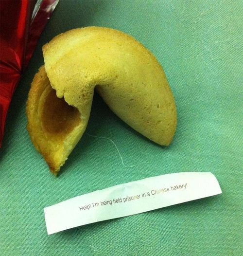 help i'm being held prisoner in a chinese bakery, fortune cookie, lol