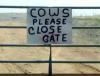 cows, sign, please close gate, wtf