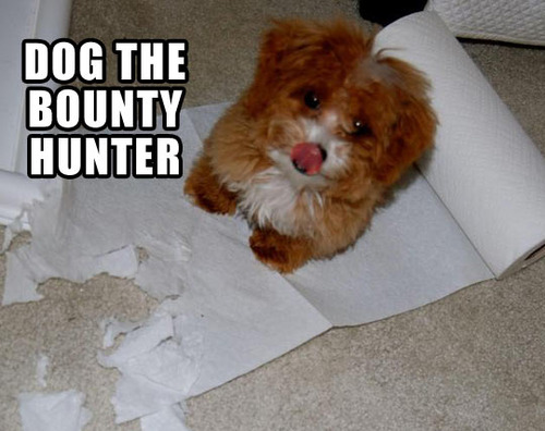 dog the bounty hunter, wordplay