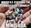 wordplay, mini soda, meme, joke, us state, minnesota