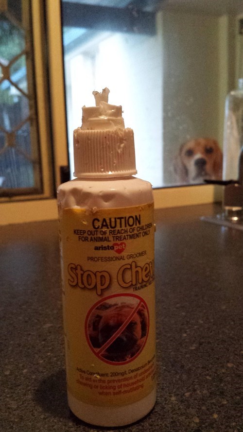 dog, stop chew, product, irony, fail