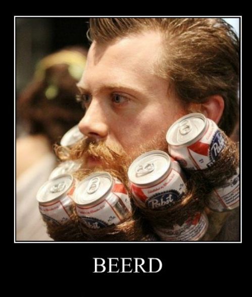 beerd, motivation, beer beard