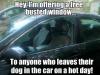 meme, busted window, car, dog, hot day