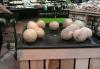 pistachios, melons, label, sign, fail