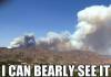 i can bearly see it, fire smoke cloud that looks like bear, wordplay, meme
