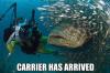 carrier has arrived, giant fish, starcraft