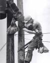 kiss of life, story, black and white, power line workers