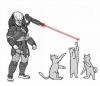 predator, lasers, cat