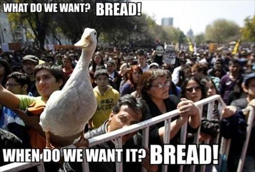 what do we want?, bread!, when do we want it?, bread!, duck at protest