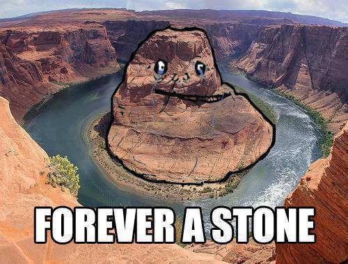 forever a stone, alone, meme, rock, wordplay