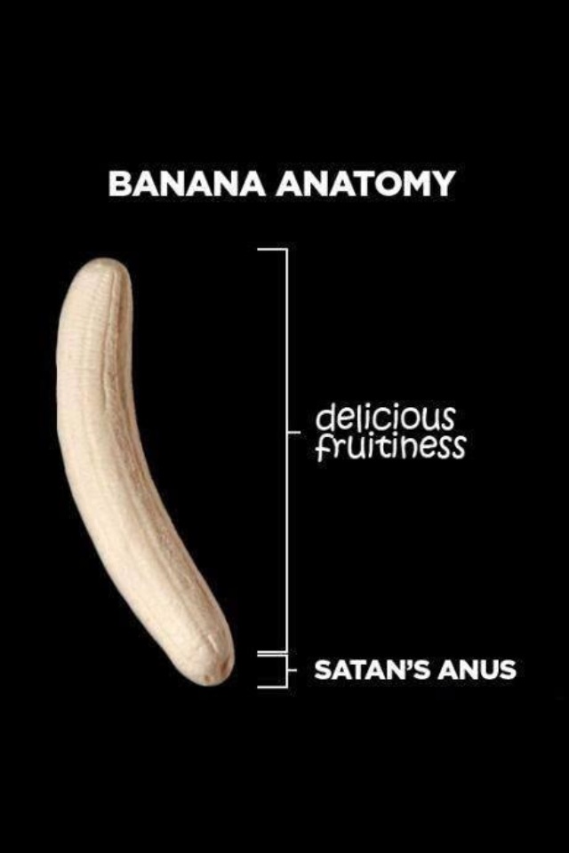banana anatomy, delicious fruitness, satan's anus