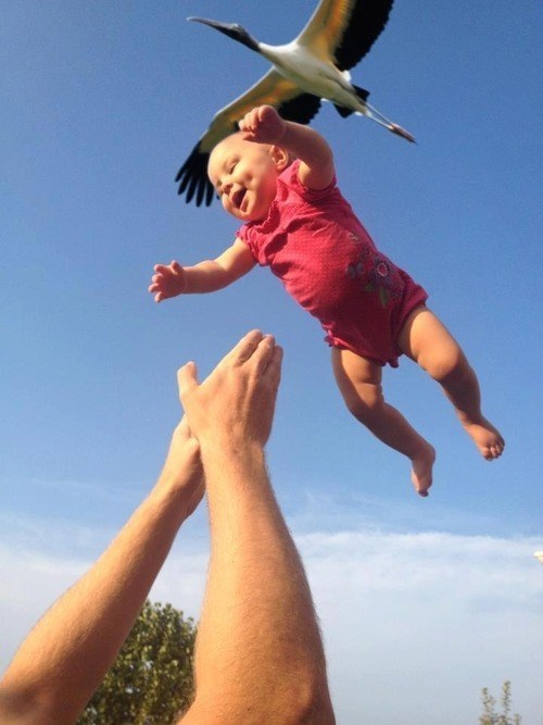timing, perspective, stork, lol, baby, catch