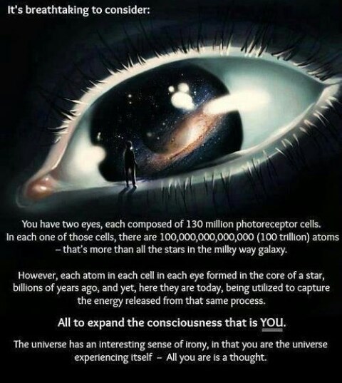 breathtaking to consider, universe, life, science, perception