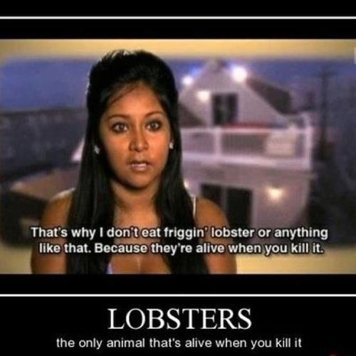 jersey shore, stupid, motivation, fail, lobsters, animals, alive when you kill it