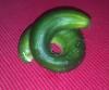 cucumber, curled up, wtf