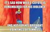 wile e. coyote, violence, brilliant paintings of tunnels, warner brothers, cartoon, meme