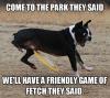 come to the park they said, we'll have a friendly game of fetch they said, freebie to the balls