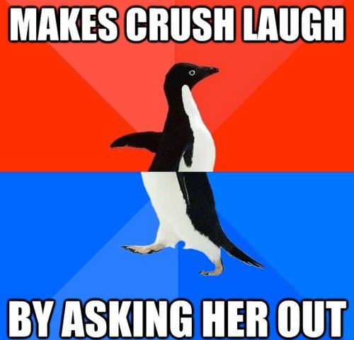 meme, makes crush laugh, asking her out, socially awkward penguin