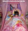 The Dark Princess, walked in to check on the kids and saw this, little girl wearing batman mask sleeping in princess bed