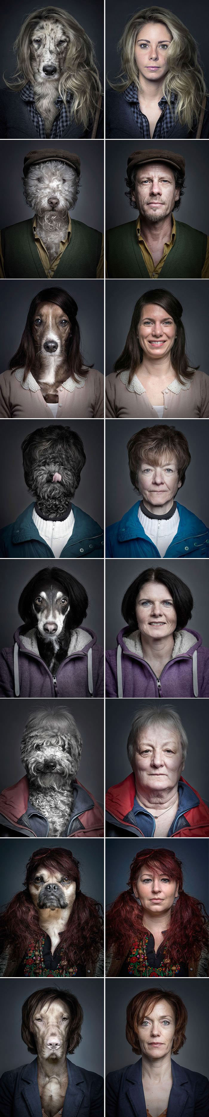 dogs, owners, totallylookslike, dressed the same