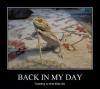 back in my day, tweeting is what birds did, old lizard on cane, motivation