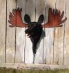 dog, fence, hole, lol, moose antlers