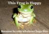 this frog is happy because he eats whatever bugs him, meme, wordplay