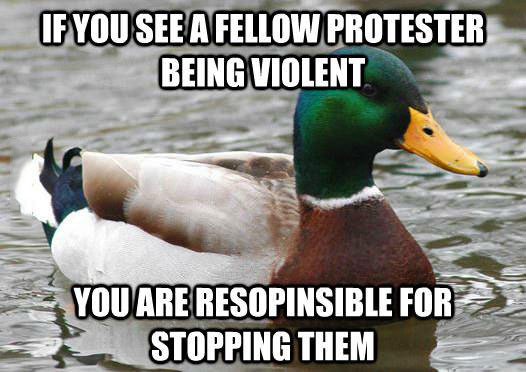 actual advice mallard, protest, responsibility
