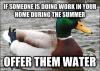 if someone is doing work in your home during the summer, offer them water, meme, actual advice mallard
