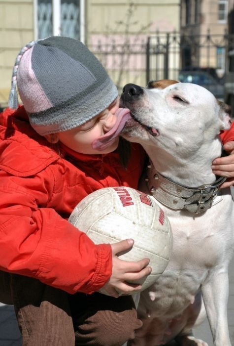 dog, lick, tongue, ball, man, timing