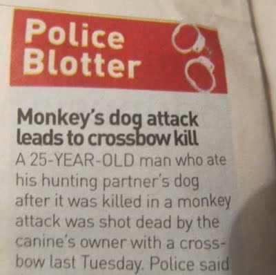 wtf, escalated quickly, omg, news, crossbow, monkey, dog, attack