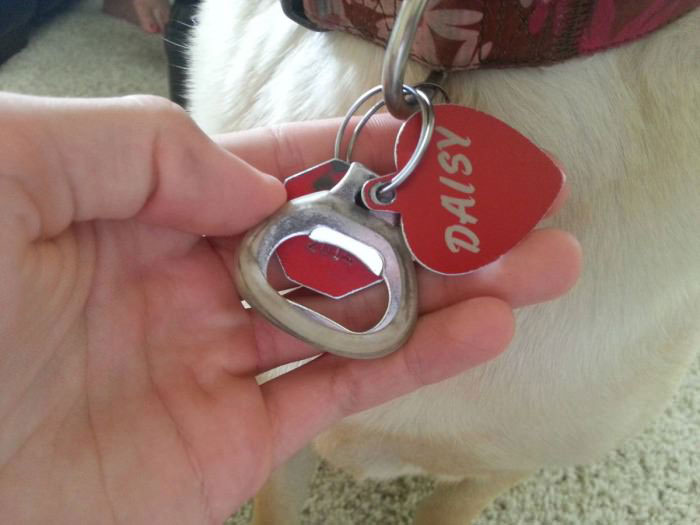 dog collar, bottle opener, win