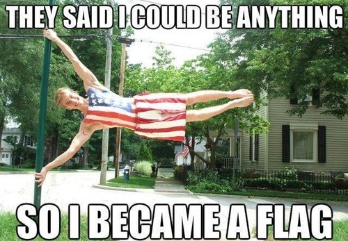 they said i could be anything, so i became a flag, usa, meme