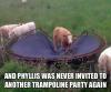 and phyllis was never invited to another trampoline part again, cow broke trampoline
