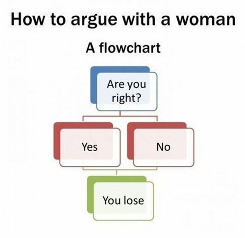 female, fight, flow chart