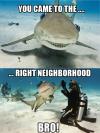 shark, high five, scuba diver, right neighbourhood 
