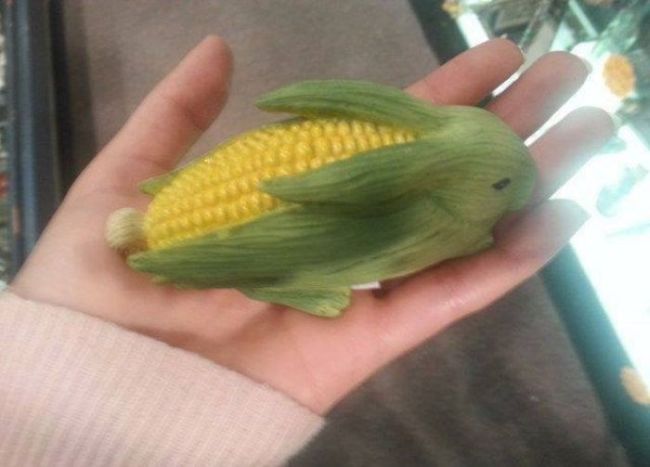 corn on the cob, rabbit, art