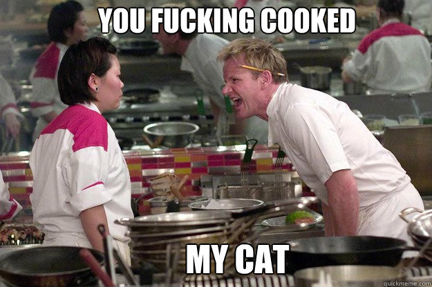 chef gordon ramsey, meme, cat, asians