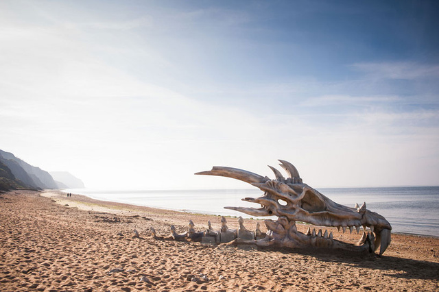 dragon head, skeleton, beach, hoax