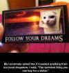 cat, head, bread, story, follow your dreams