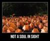 ginger, crowd, soul, motivation, people, red head, hair