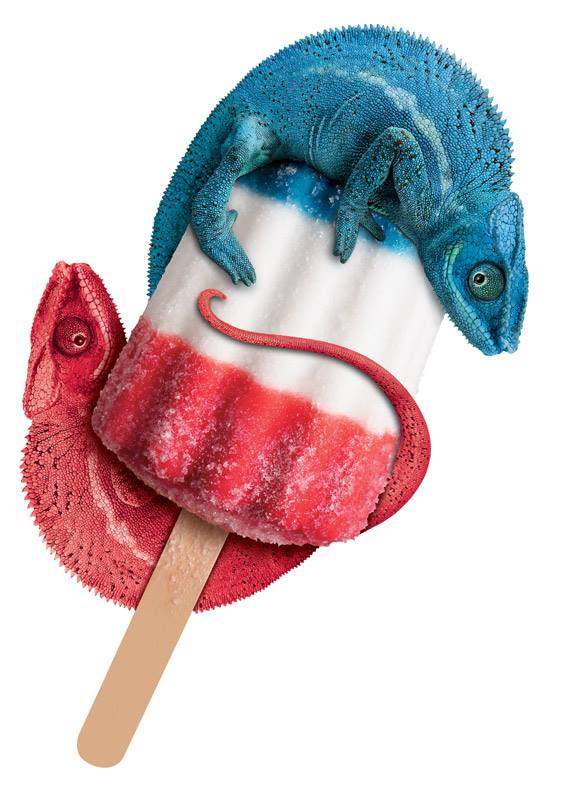 popsicle, lizard, colors