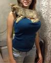 small cat laying across busty blond's chest, win