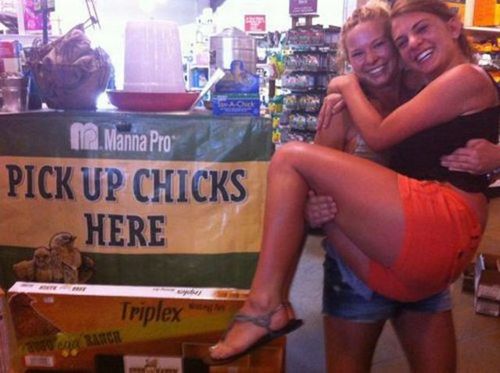 sign, literal, pick up chicks, friends