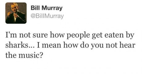 twitter, bill murray, eaten by sharks, jaws, music