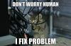 cat, chew, wires, meme, fix problem