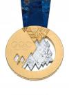 olympic gold medal 2014