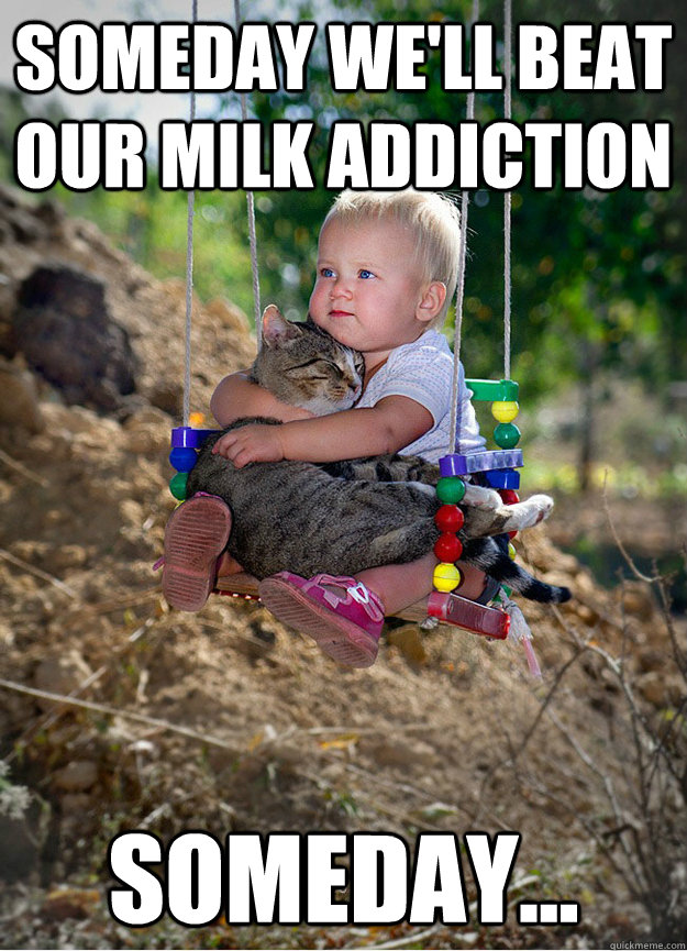 cat, baby, meme, milk addiction, swing, cute