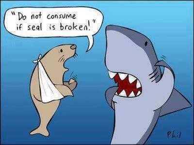 comic, seal, broken, shark, ocean