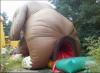 inflatable bouncy house, fail, dog, anus, wtf